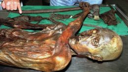 Ötzi the Iceman's Final Hours