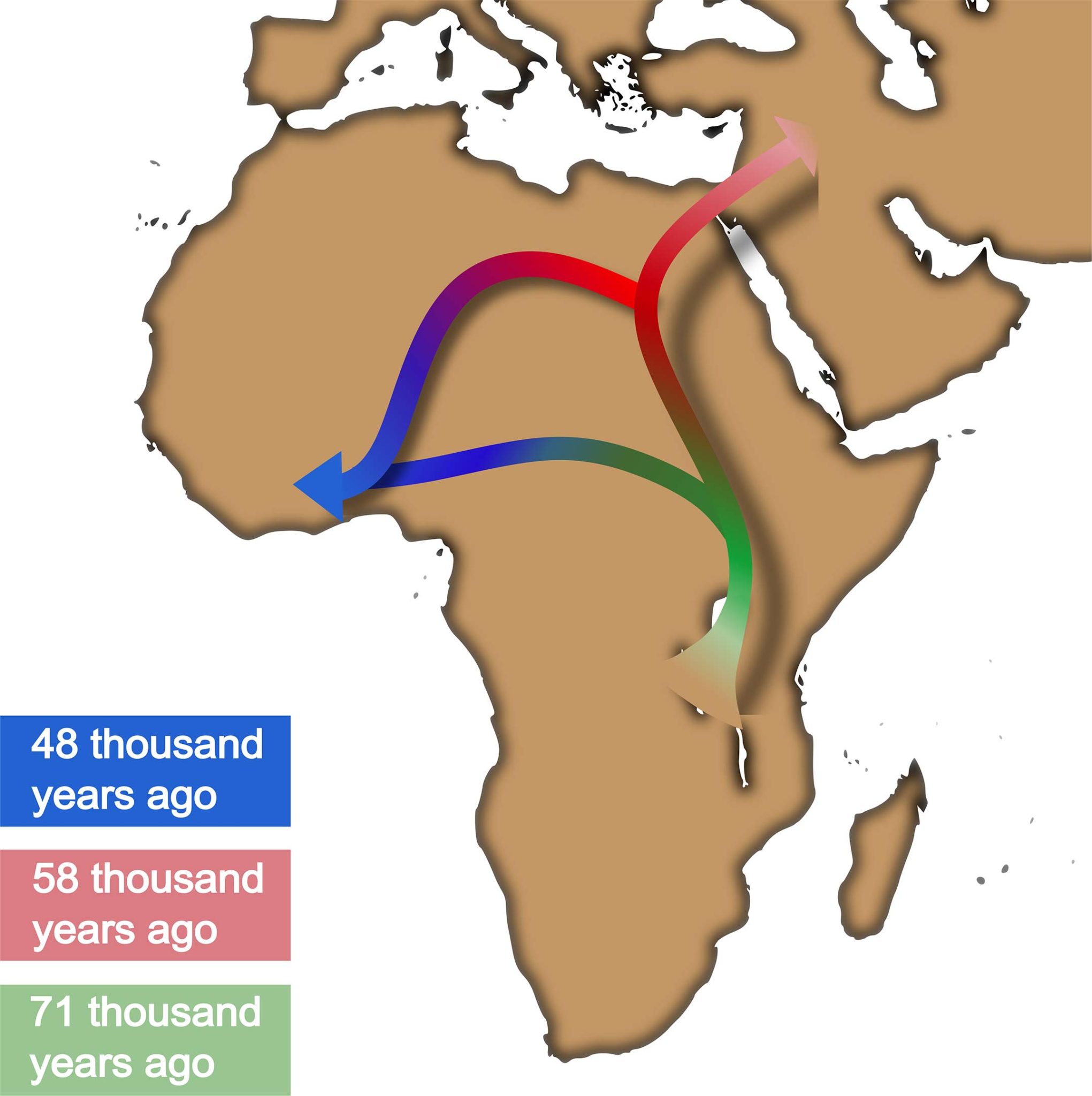 Revisiting the Out of Africa Theory New Narrative From