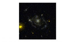 Outflows in the Narrow Line Region of Bright Seyfert Galaxies