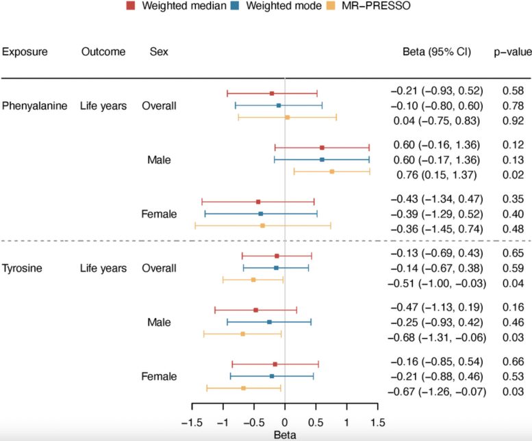 Overall and Sex Specific Associations of Phenylalanine and Tyrosine With Lifespan