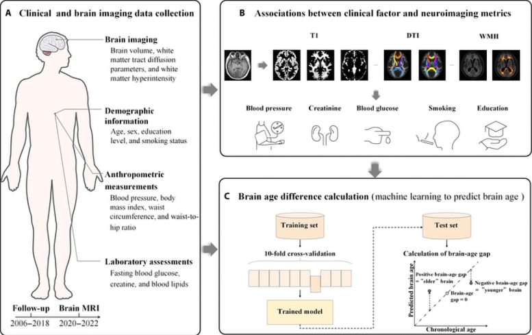 Overview of Study Design Integrating Clinical Data, Imaging, and Machine Learning