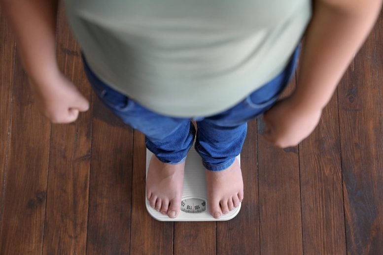 New Study Challenges 40-Year Puzzle About Childhood Body Fat