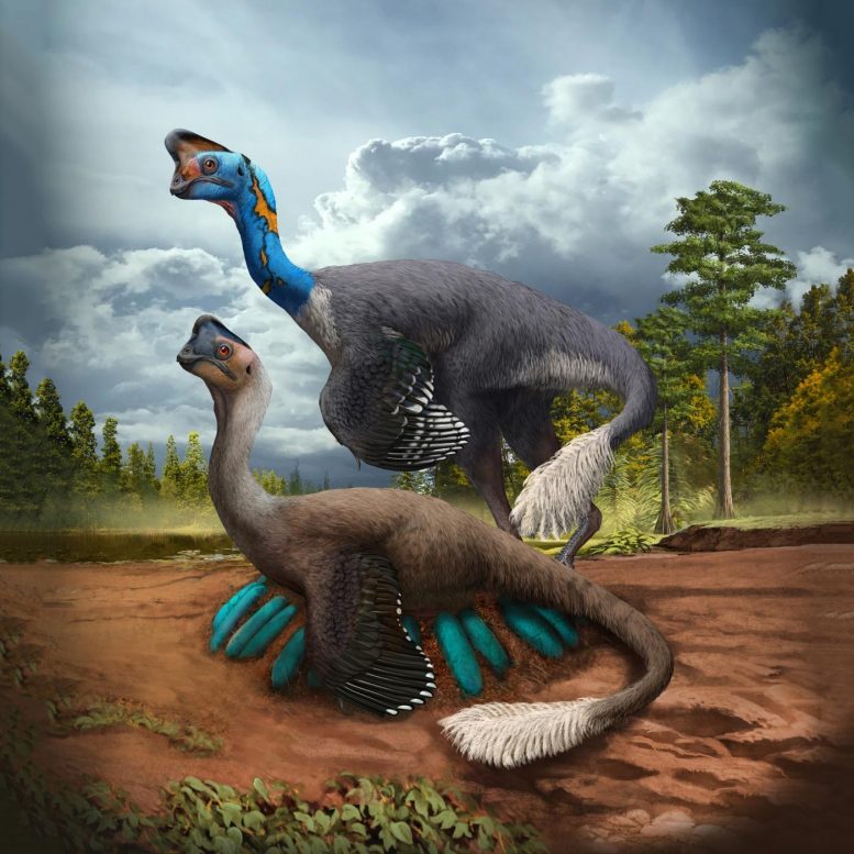 Oviraptorid Theropod Dinosaurs
