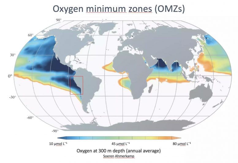 Oxygen Minimum Zones Map