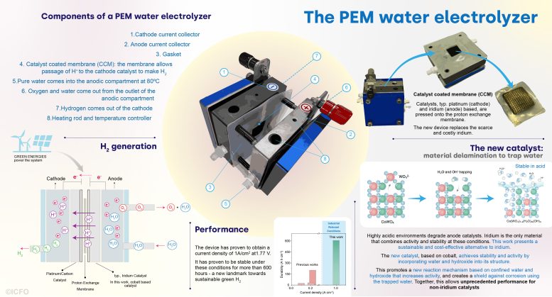 PEM Water Electrolyzer Graphic