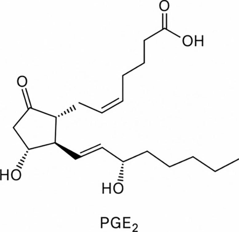Natural Compound May Help Protect the Brain and Heart From Excess Salt