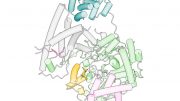 POLRMT-Inhibitor Complex