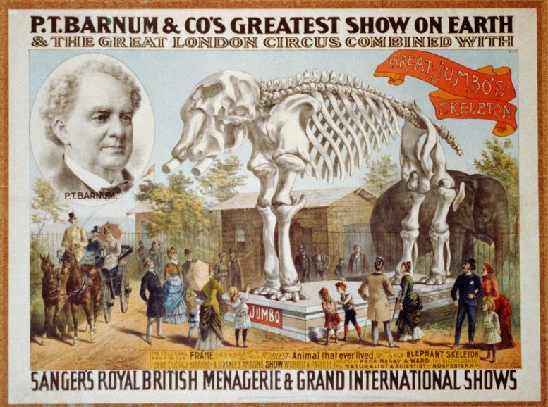 PT Barnum Circus Poster