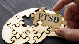 PTSD Brain Puzzle