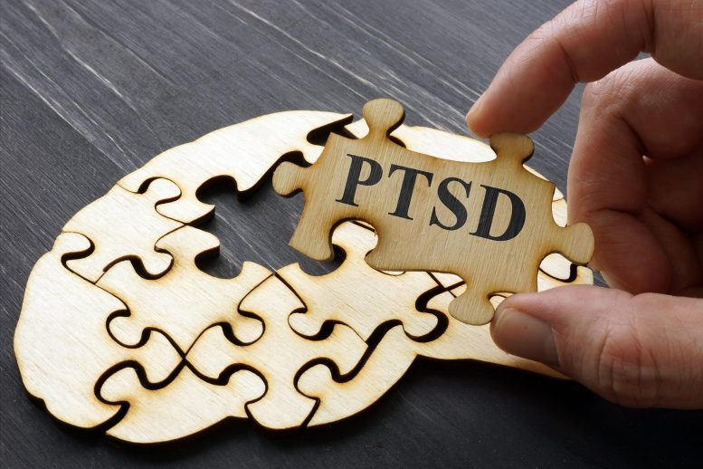 PTSD Brain Puzzle