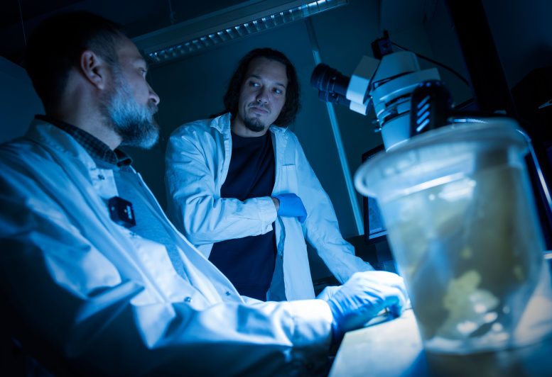 Paco C&aacute;rdenas and Julio A. D&iacute;az