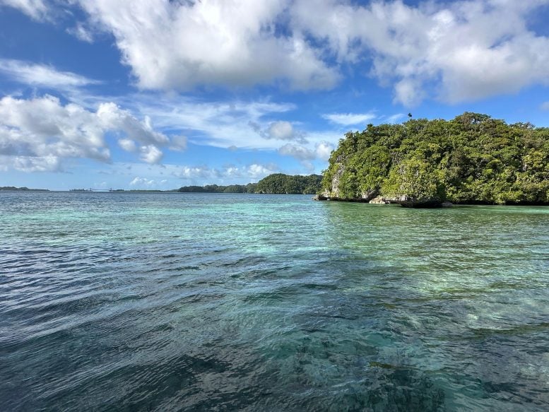 Palau Harbor With Island