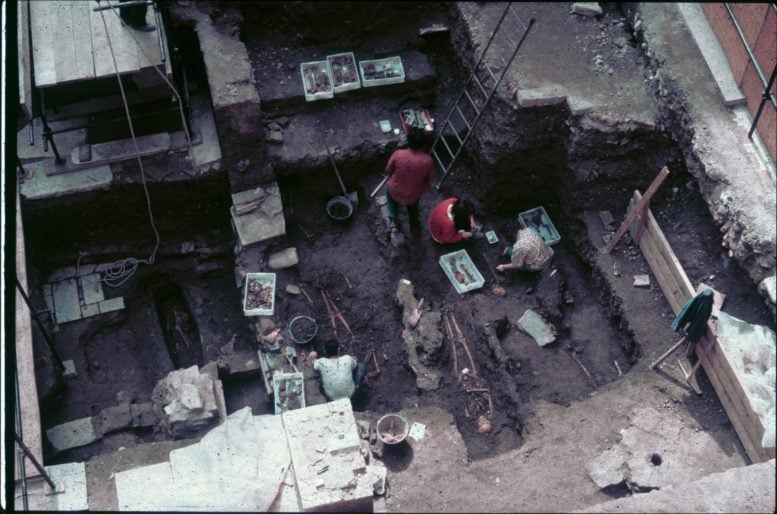 Palazzo della Cancelleria Excavation Primary Burials