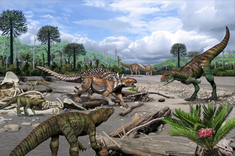 Paleoambiental Reconstruction Upper Cretaceous Faunal Association at Cerro Fortaleza