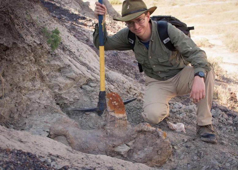 Paleontologist Scott Persons