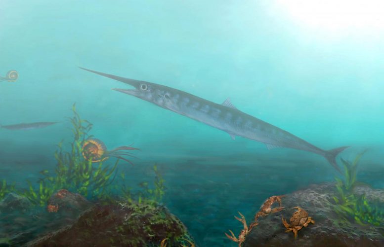 Paleontologists Discover Never-Before-Seen Fish Species