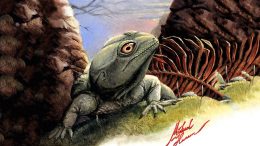 Paleontologists Identify a New Species of Prehistoric Reptile Colobops Noviportensis