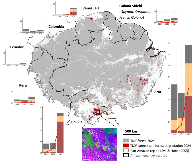 Pan-Amazon Large-Scale Forest Degradation in 2024