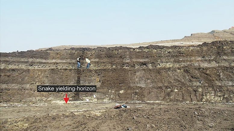 Panoramic View of the Vasuki Indicus Fossil Site