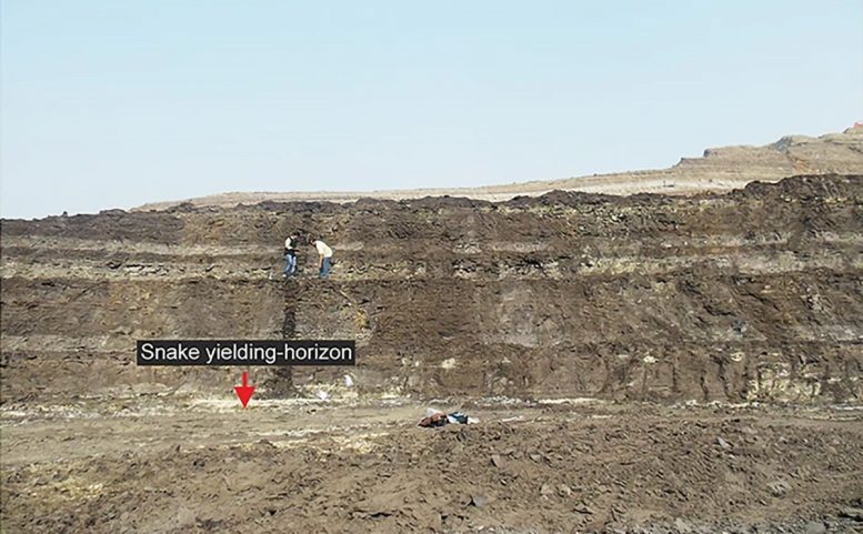 Panoramic View of the Vasuki Indicus Fossil Site