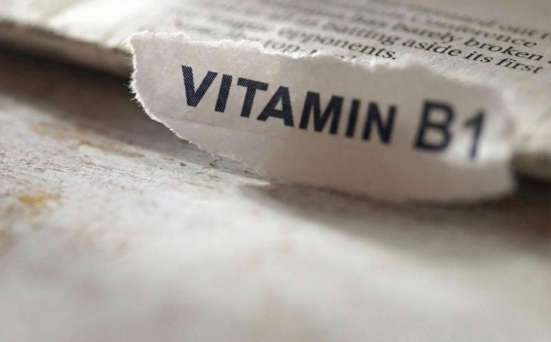Researchers Finally Prove “Crazy” Vitamin B1 Theory From 1958