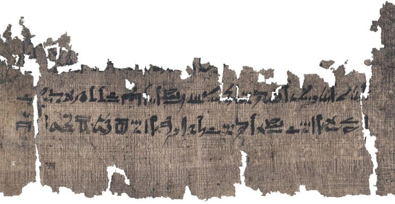 Papyrus Louvre-Carlsberg