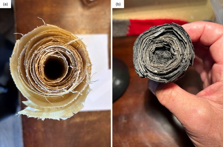 Mount Vesuvius Buried These Scrolls for 2,000 Years – Now Scientists May Read Them