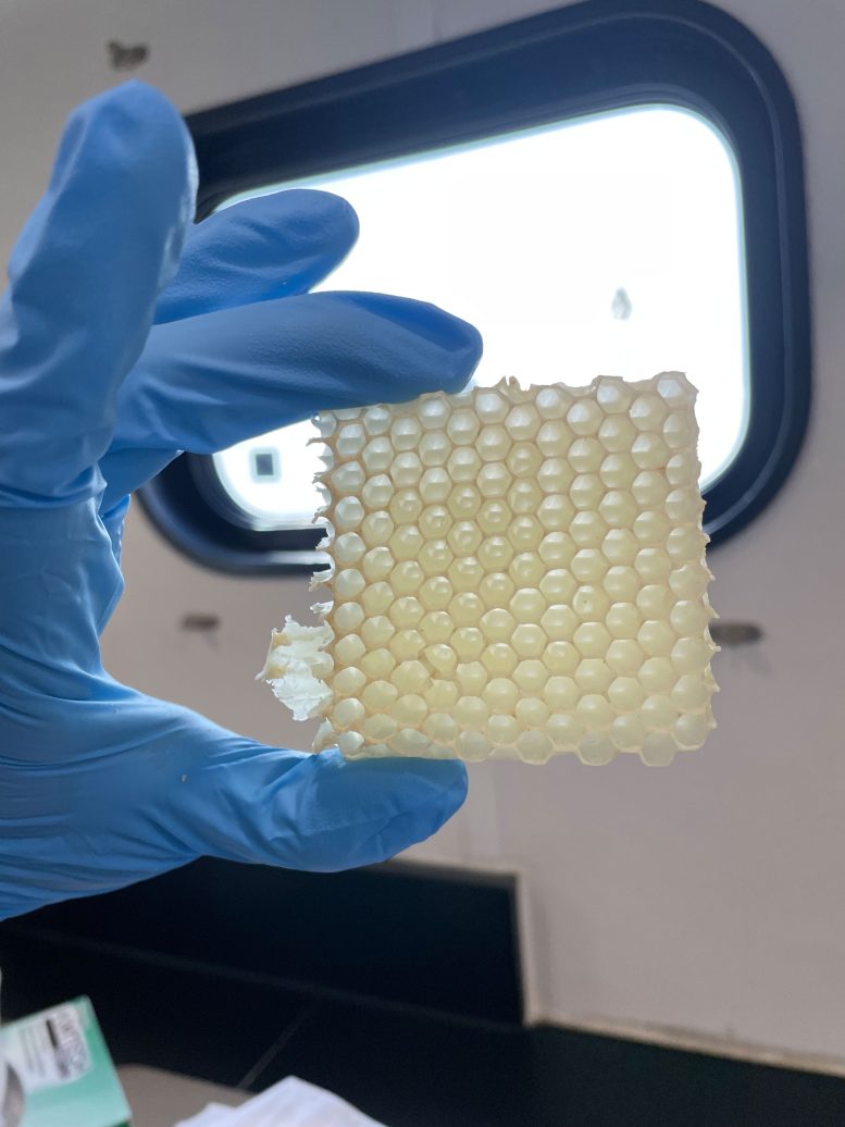 Paraffin Wax Sample