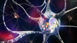 Parkinson’s Disease Nerve Cells