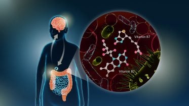 Parkinson’s Disease Vitamins B2 and B7 Graphic
