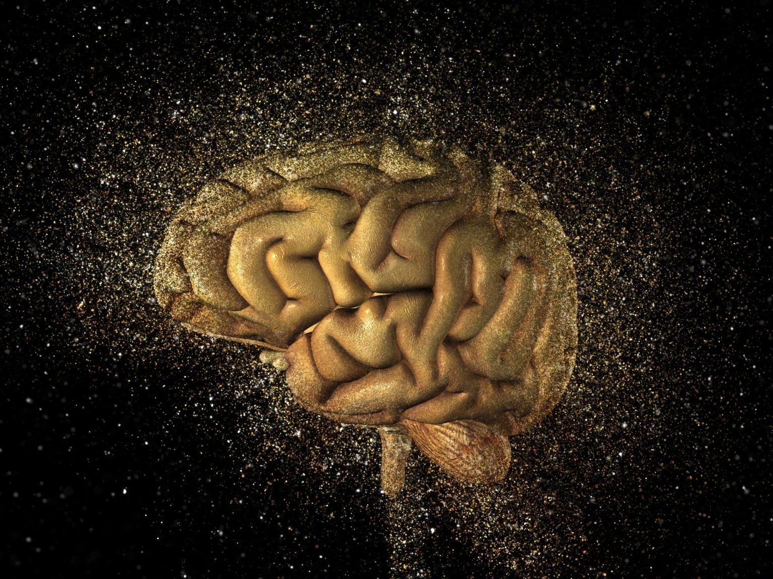 Brain age. Brain explosion. Sticker Brain explosion.