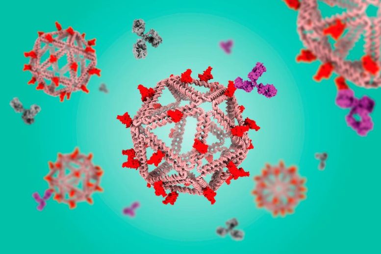 Particulate Vaccine Mimics Virus Structure