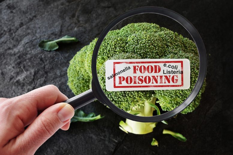 Pathogen Detection Food Poisoning