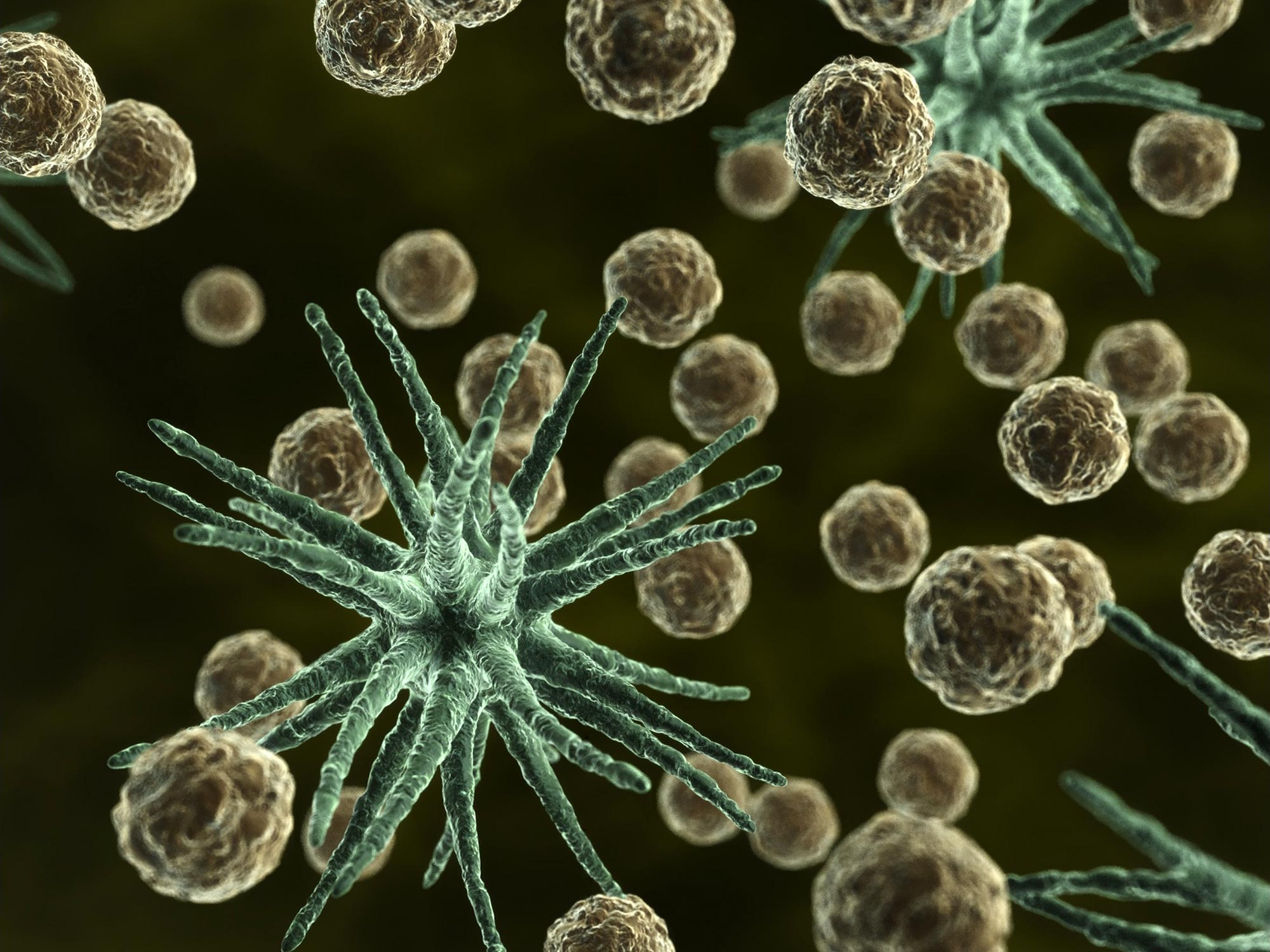 For the Benefit of Society Investigating Pathogens and Their Life Cycles