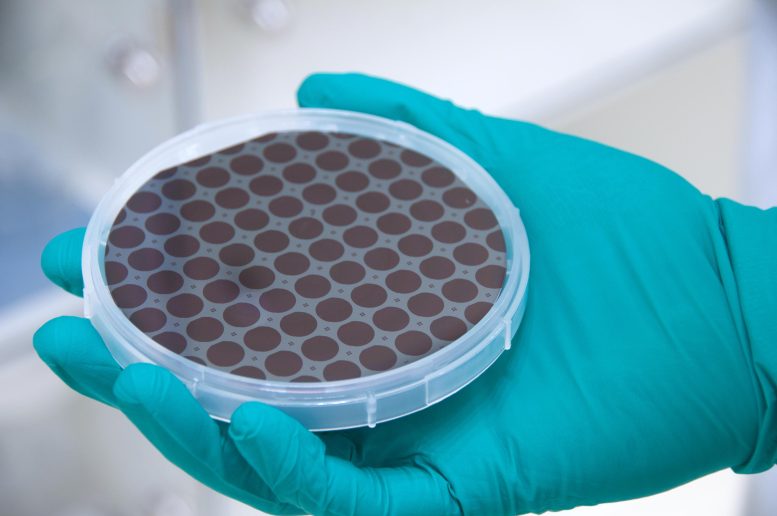 Patterned Four-Inch GaAs Wafer