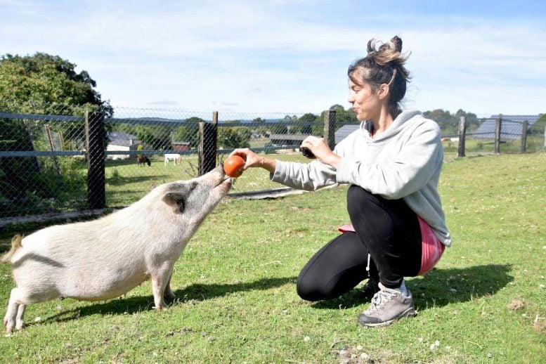 Paula Perez With Pig