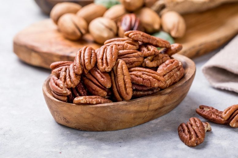 Pecan Nuts Snack