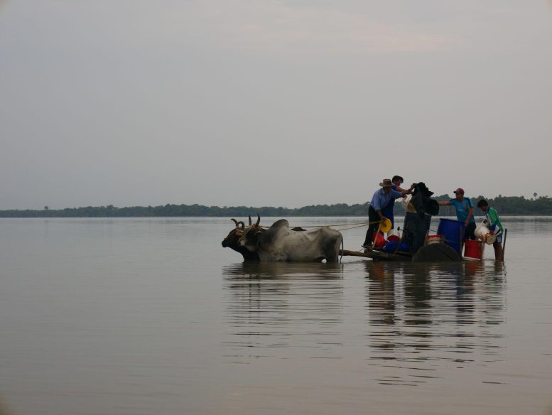 People Collecting Water From Lake Rogaguado