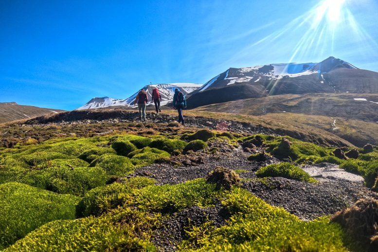 People Hiking Through Svalbard Tundra in Summer