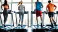 People Running on Treadmills