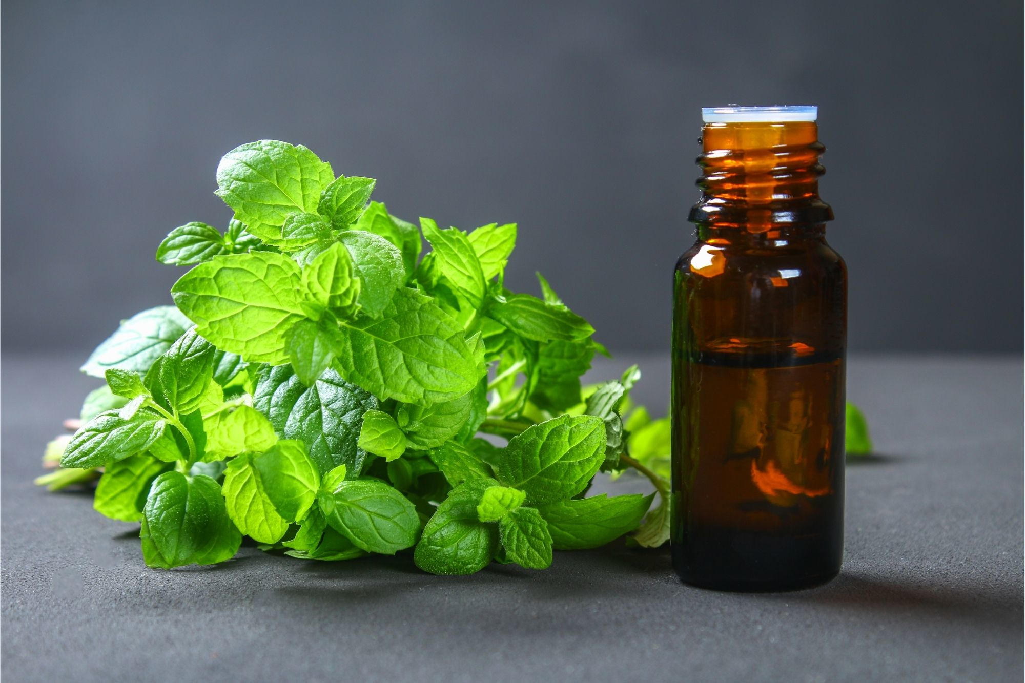 Peppermint Power: A New Natural Solution To Post-Surgery Pain and Sleeplessness thumbnail