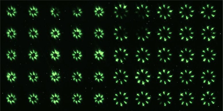 Perovskite Nanocrystals Precise Arrays of nanoLEDs