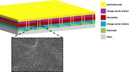 Perovskite Solar Module and Surface of Active Layer
