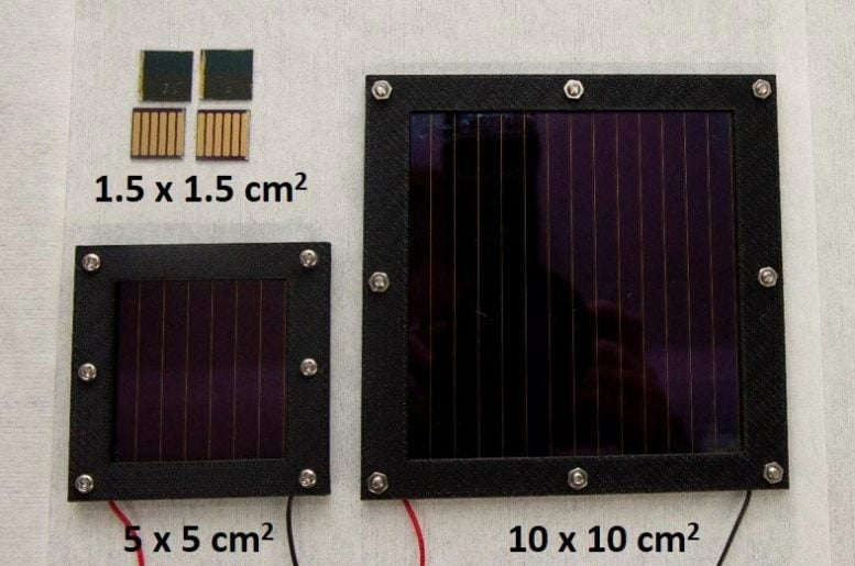 Perovskite Solar Modules