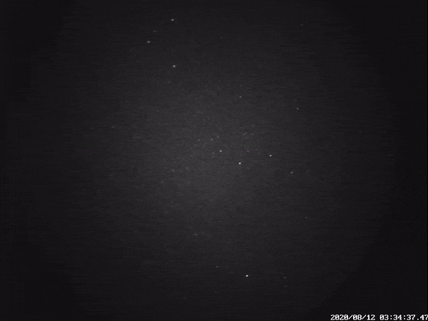 Perseid Meteor ESA Camera