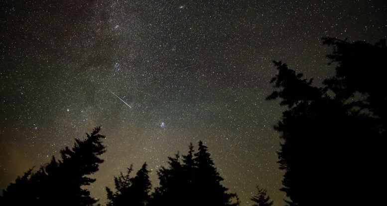 Gałka świerkowa z deszczem meteorów Perseidów, Wirginia Zachodnia