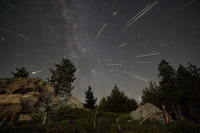 Perseids Meteors Streak Over Sequoia National Forest