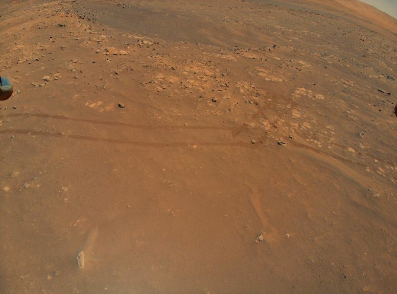 Perseverance Rover Tracks on Mars