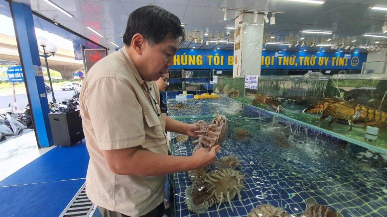 Peter Ng Examining Giant Isopods From a Seafood Market