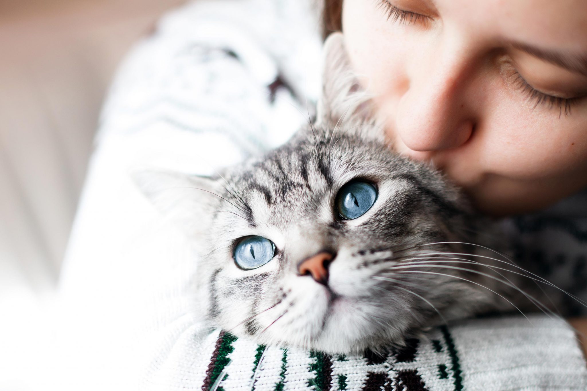 Pets, Touch and COVID19 Why Our Cats, Dogs and Other Furry Friends Are Lifesavers